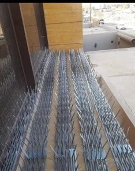 شركة تركيب طارد الحمام بجدة