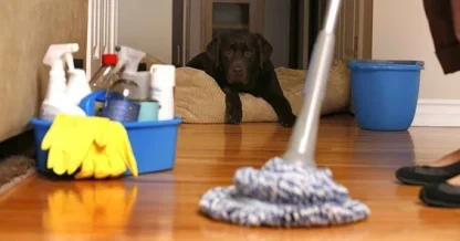 شركة تنظيف فلل بجدة عمالة فلبينية