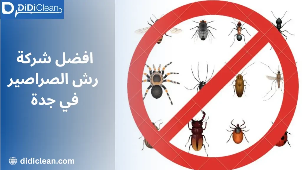 أهم معدات شركات رش الصراصير بجدة شركة رش الصراصير بجدة