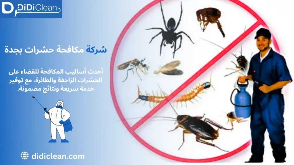 أرخص شركة مكافحة حشرات بجدة