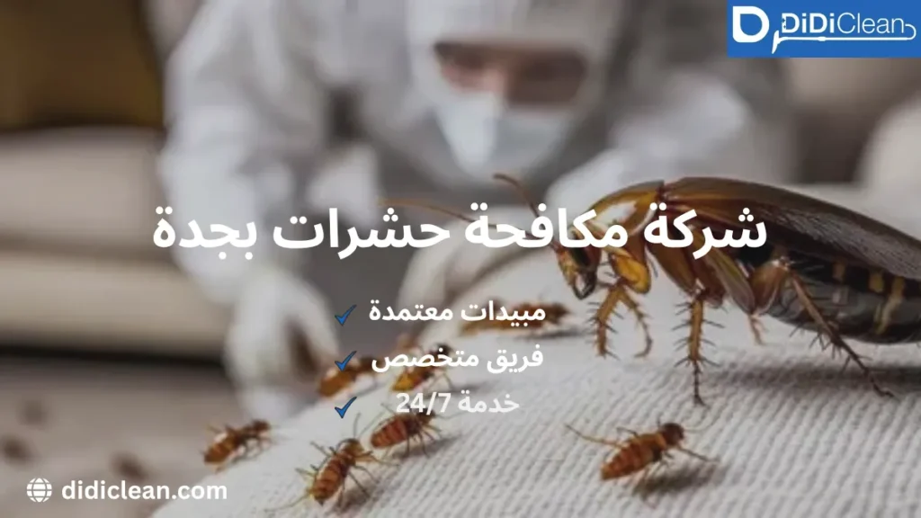 أرخص شركة مكافحة حشرات بجدة