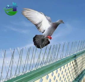 شركة تركيب طارد الحمام بمكة