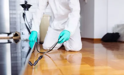 شركة مكافحة حشرات بالطائف